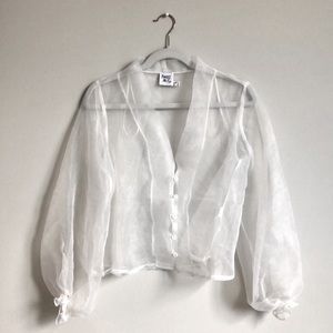 Princess Polly Sheer Blouse